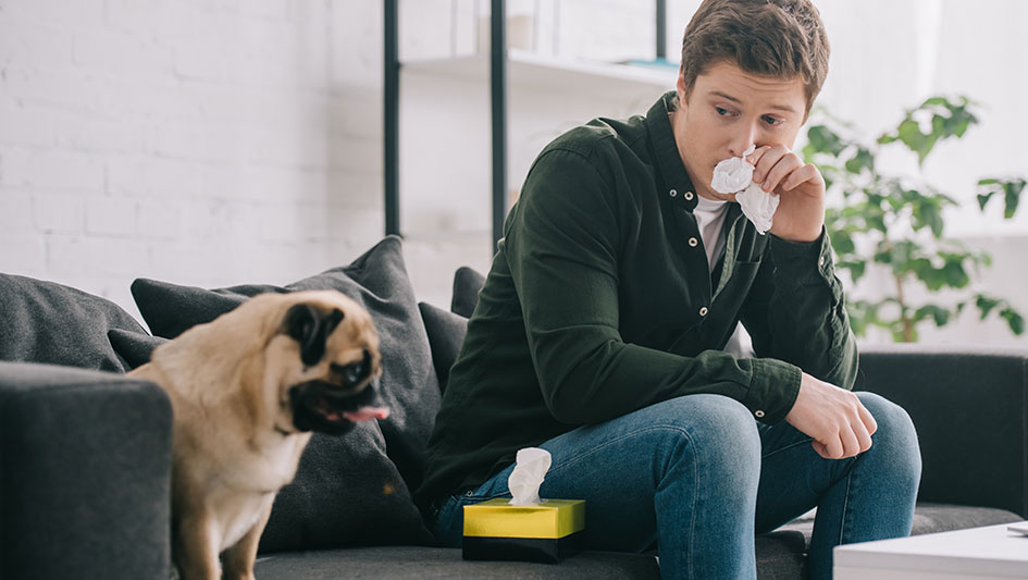 Getting an air purifier is one of the top methods to boost your residence’s indoor air quality. Learn more about the three top options. 